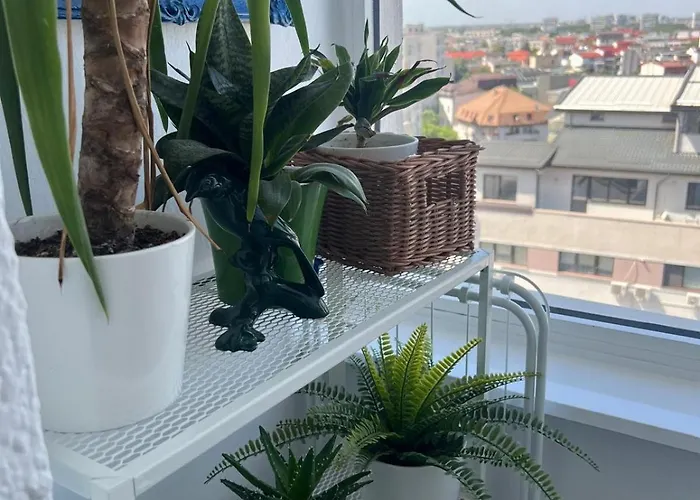 Apartment 1bdr Perla 225 *